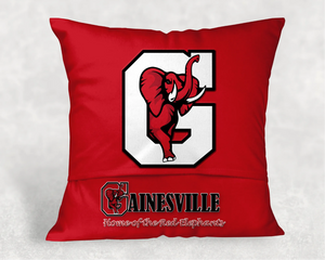 Graduation Diploma Pillow